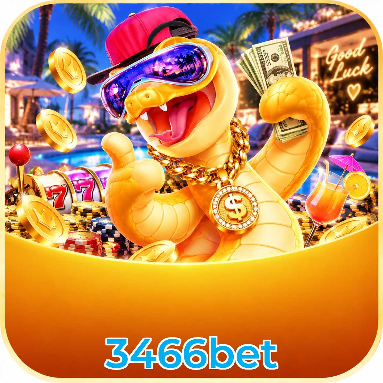 3466bet Performance